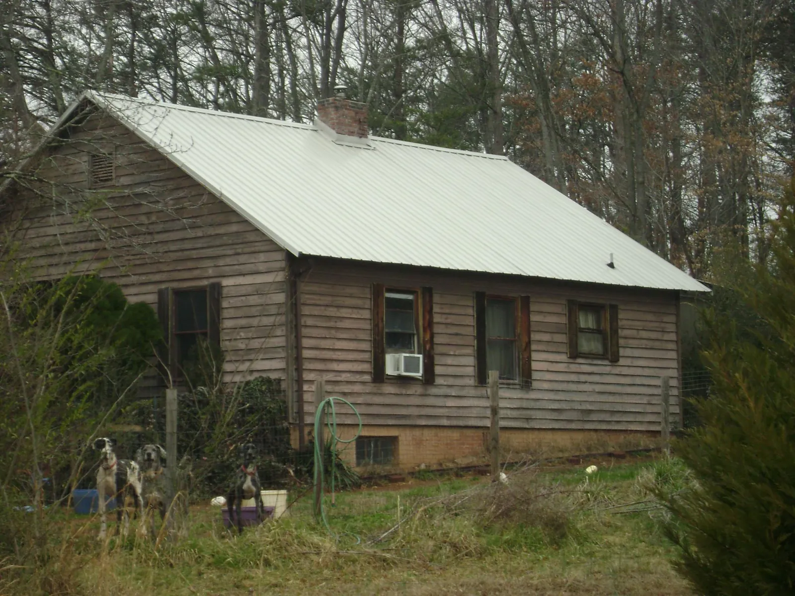 White metal roof on an old wood sided farmhouse, from a Asphalt Shingle Roof Repair job in Hollandale